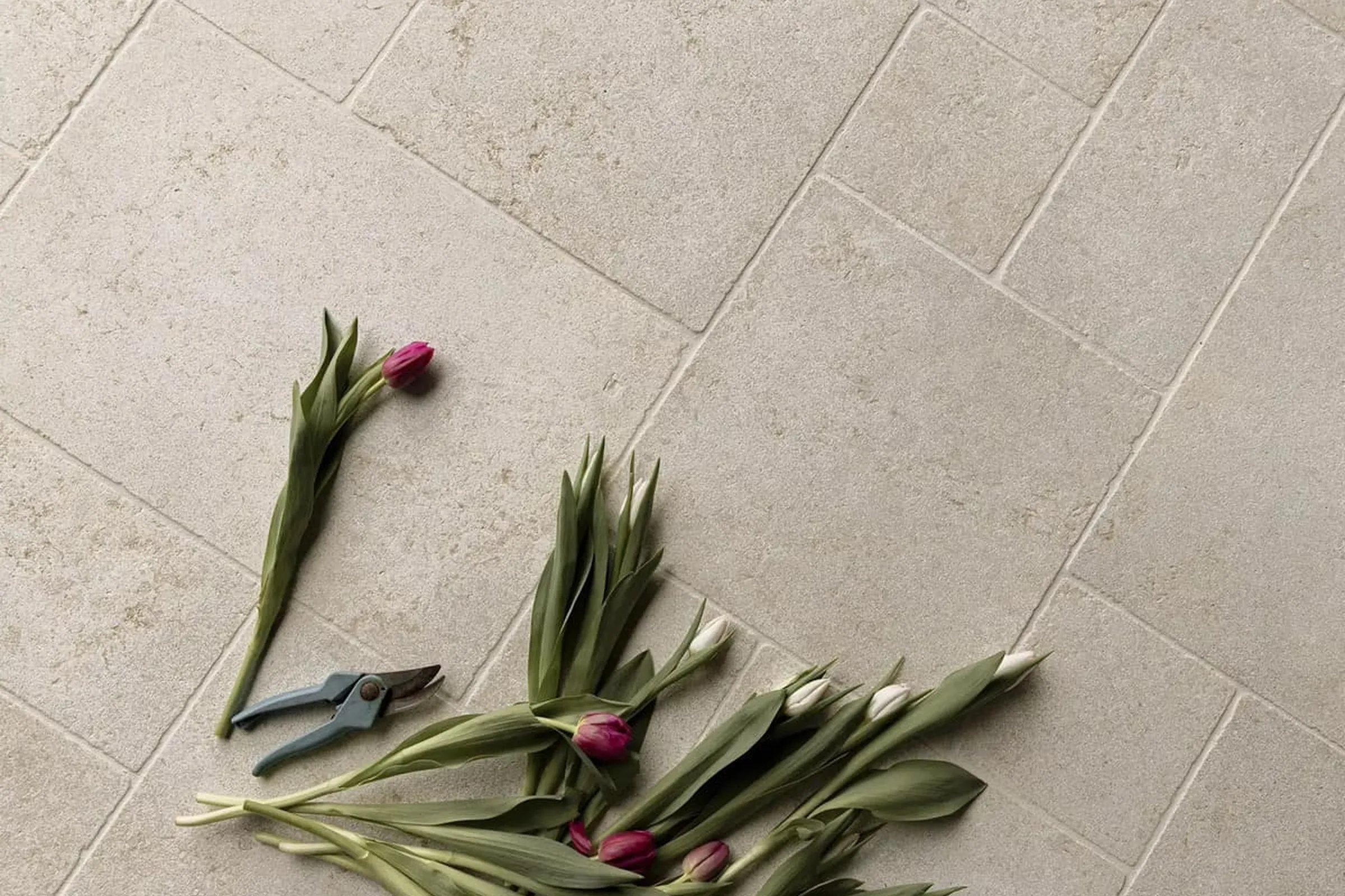Helle rechteckige Fliesen mit sichtbaren Fugen, darauf Tulpen und eine Gartenschere